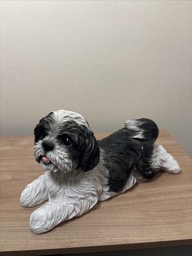 Lying shih tzu - shih, dog