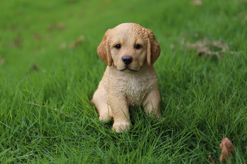 Golden retriever garden statue - golden,